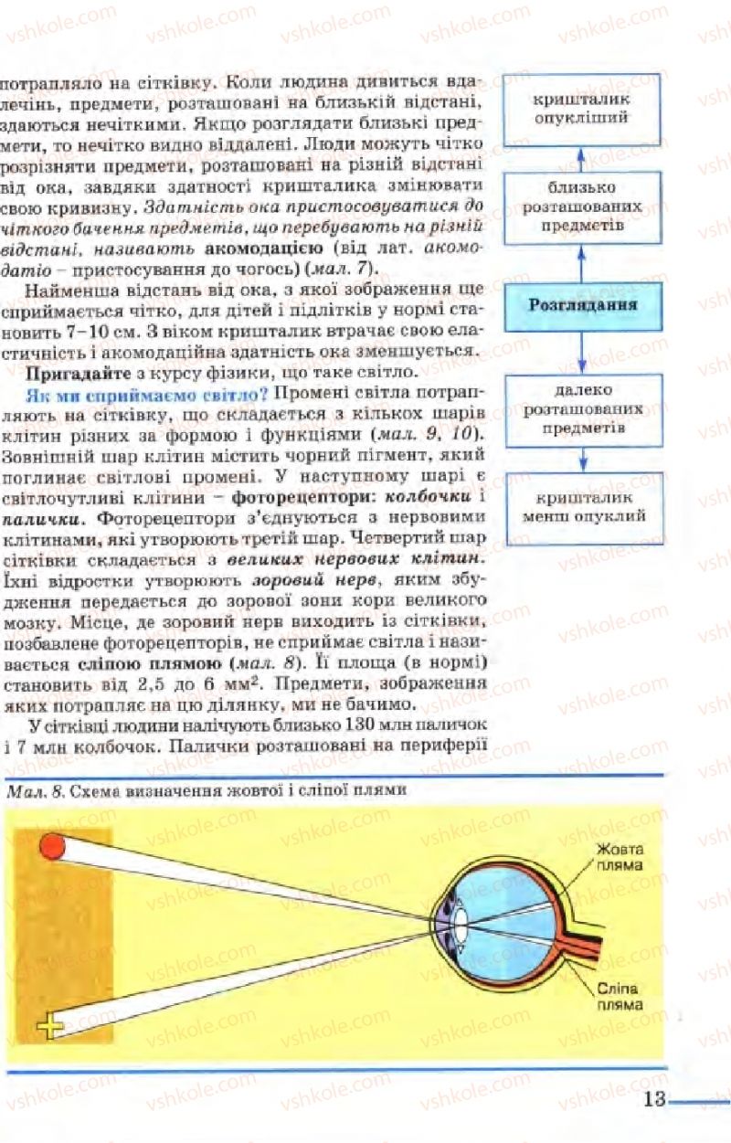 Страница 13 | Підручник Біологія 9 клас М.Н. Шабатура, Н.Ю. Матяш, В.О. Мотузний 2004
