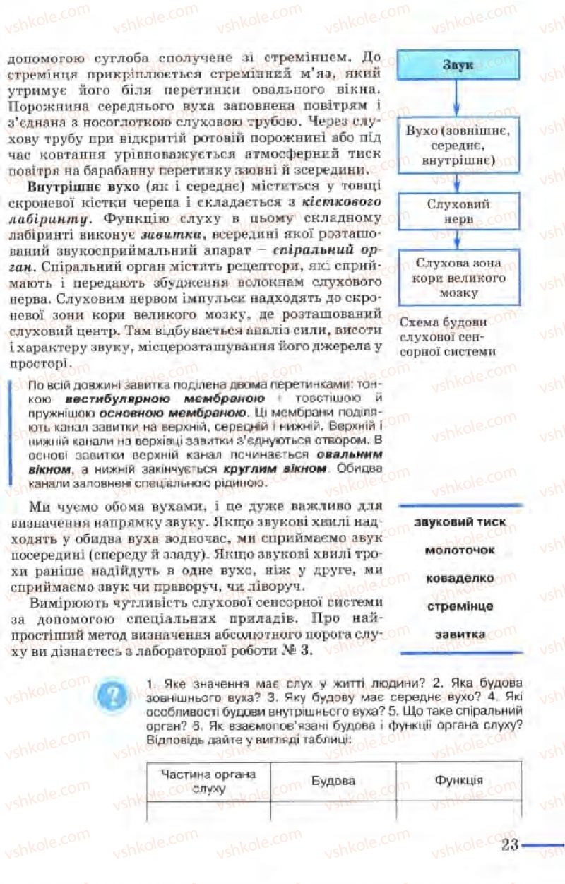 Страница 23 | Підручник Біологія 9 клас М.Н. Шабатура, Н.Ю. Матяш, В.О. Мотузний 2004