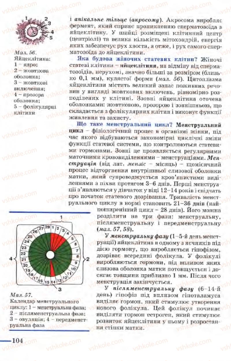 Страница 104 | Підручник Біологія 9 клас М.Н. Шабатура, Н.Ю. Матяш, В.О. Мотузний 2004