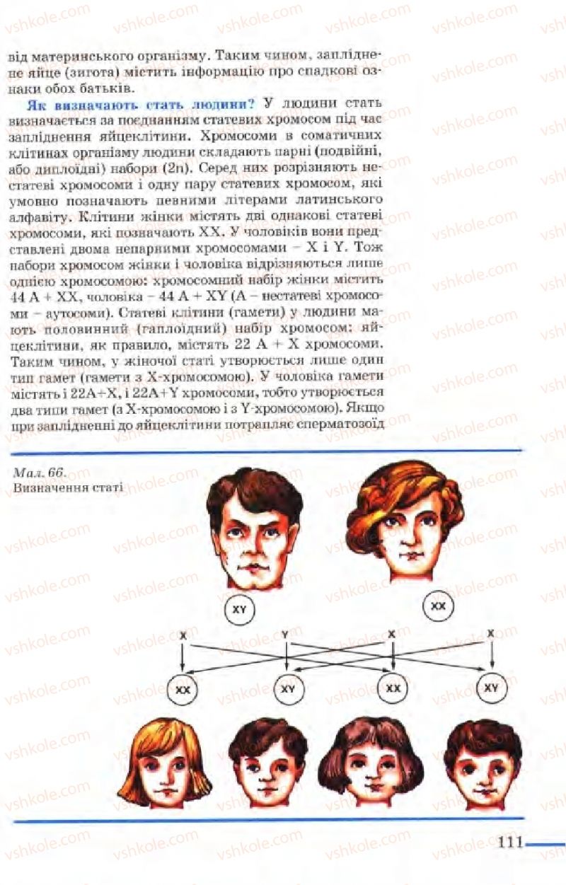 Страница 111 | Підручник Біологія 9 клас М.Н. Шабатура, Н.Ю. Матяш, В.О. Мотузний 2004