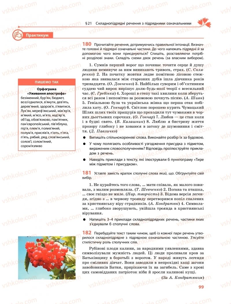 Страница 99 | Підручник Українська мова 9 клас О.В. Караман, О.М. Горошкіна 2017 Поглиблене вивчення