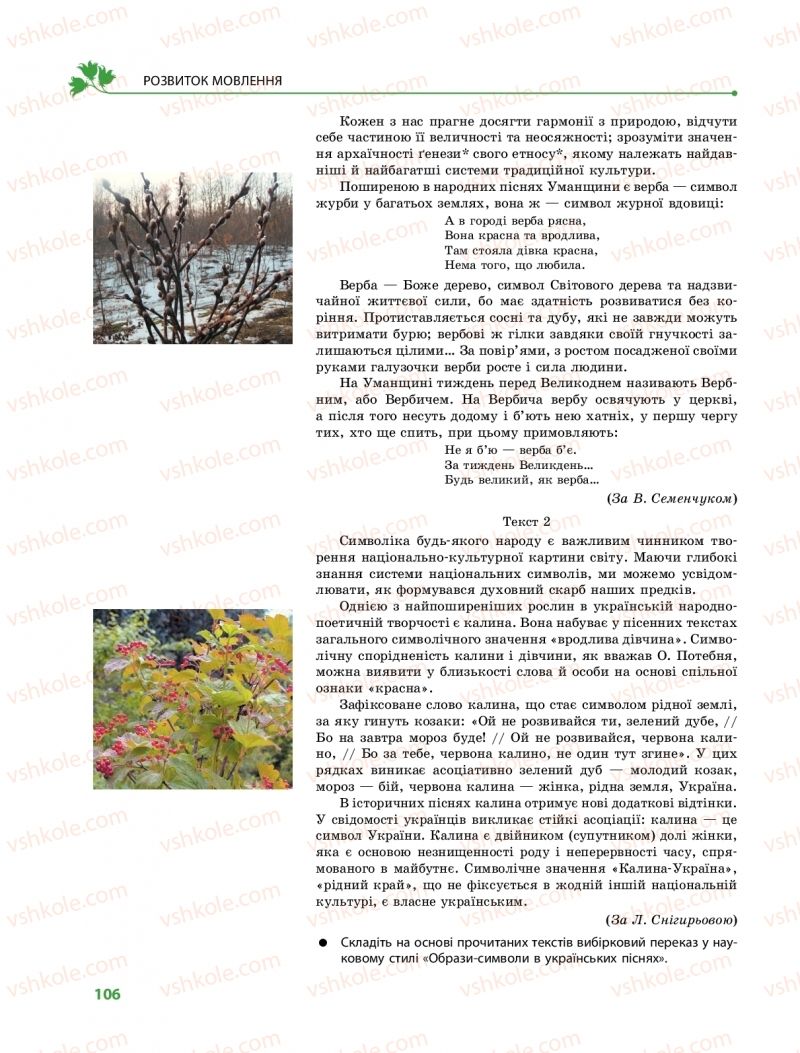 Страница 106 | Підручник Українська мова 9 клас О.В. Караман, О.М. Горошкіна 2017 Поглиблене вивчення