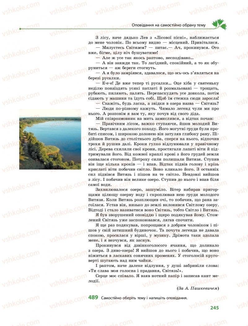 Страница 245 | Підручник Українська мова 9 клас О.В. Караман, О.М. Горошкіна 2017 Поглиблене вивчення