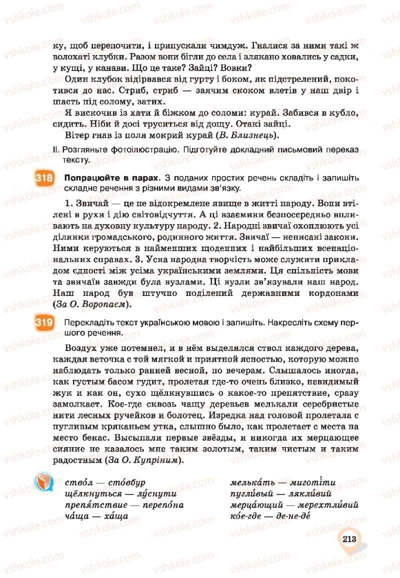 Страница 213 | Підручник Українська мова 9 клас А.А. Ворон, В.А. Солопенко 2017
