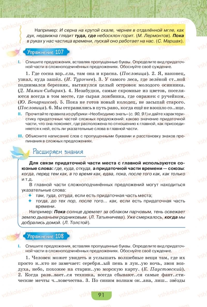 Страница 91 | Підручник Русский язык 9 клас Е.И. Быкова, Л.В. Давидюк, Е.Ф. Рачко 2017