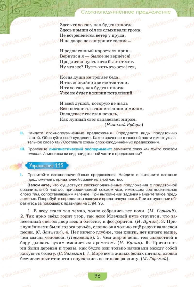Страница 96 | Підручник Русский язык 9 клас Е.И. Быкова, Л.В. Давидюк, Е.Ф. Рачко 2017