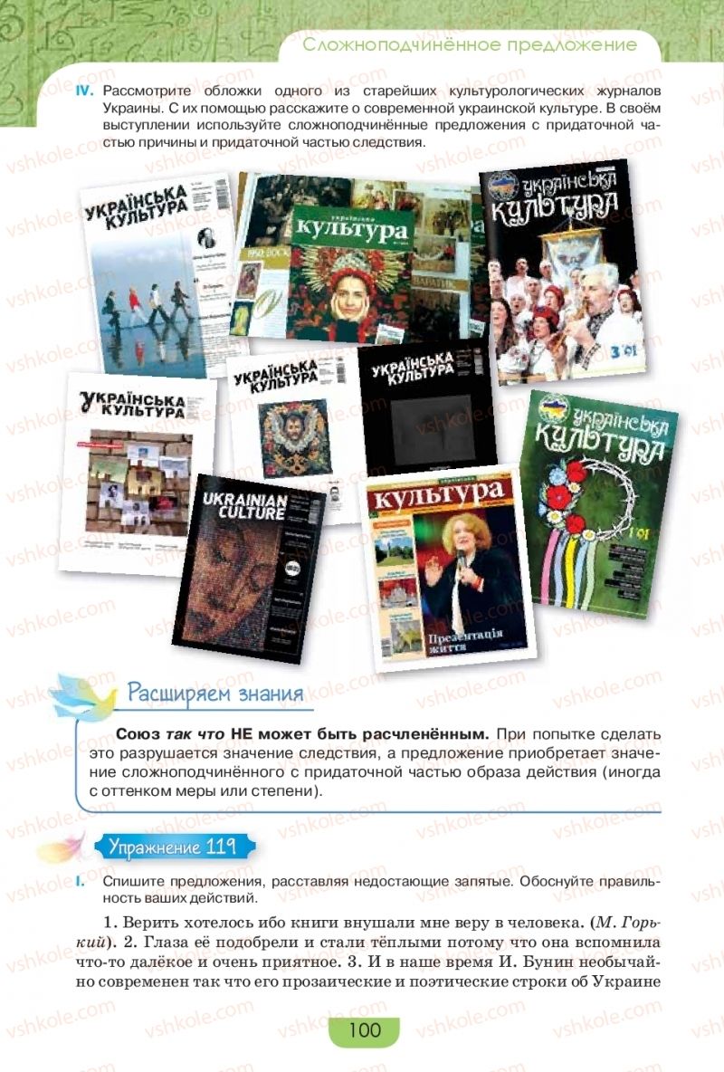 Страница 100 | Підручник Русский язык 9 клас Е.И. Быкова, Л.В. Давидюк, Е.Ф. Рачко 2017