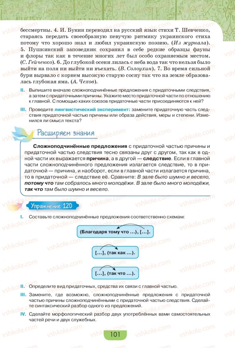Страница 101 | Підручник Русский язык 9 клас Е.И. Быкова, Л.В. Давидюк, Е.Ф. Рачко 2017