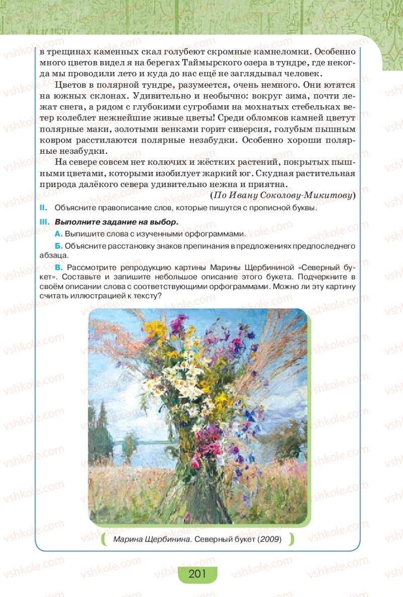 Страница 201 | Підручник Русский язык 9 клас Е.И. Быкова, Л.В. Давидюк, Е.Ф. Рачко 2017