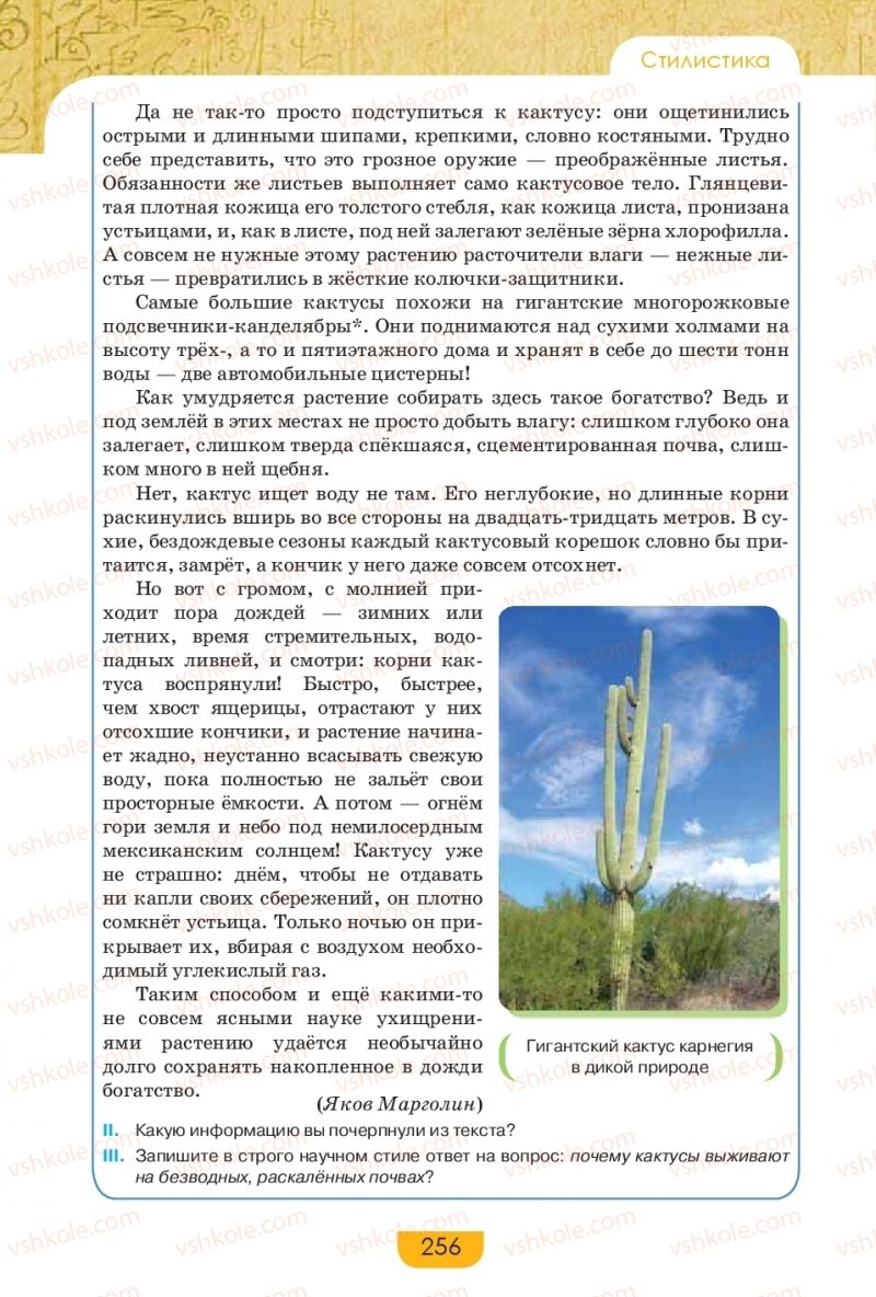 Страница 256 | Підручник Русский язык 9 клас Е.И. Быкова, Л.В. Давидюк, Е.Ф. Рачко 2017