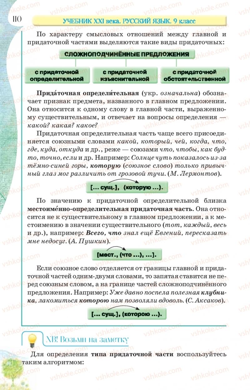Страница 110 | Підручник Русский язык 9 клас Л.В Давидюк, В.И. Стативка, Е.Л. Фидкевич 2017 9 год обучения