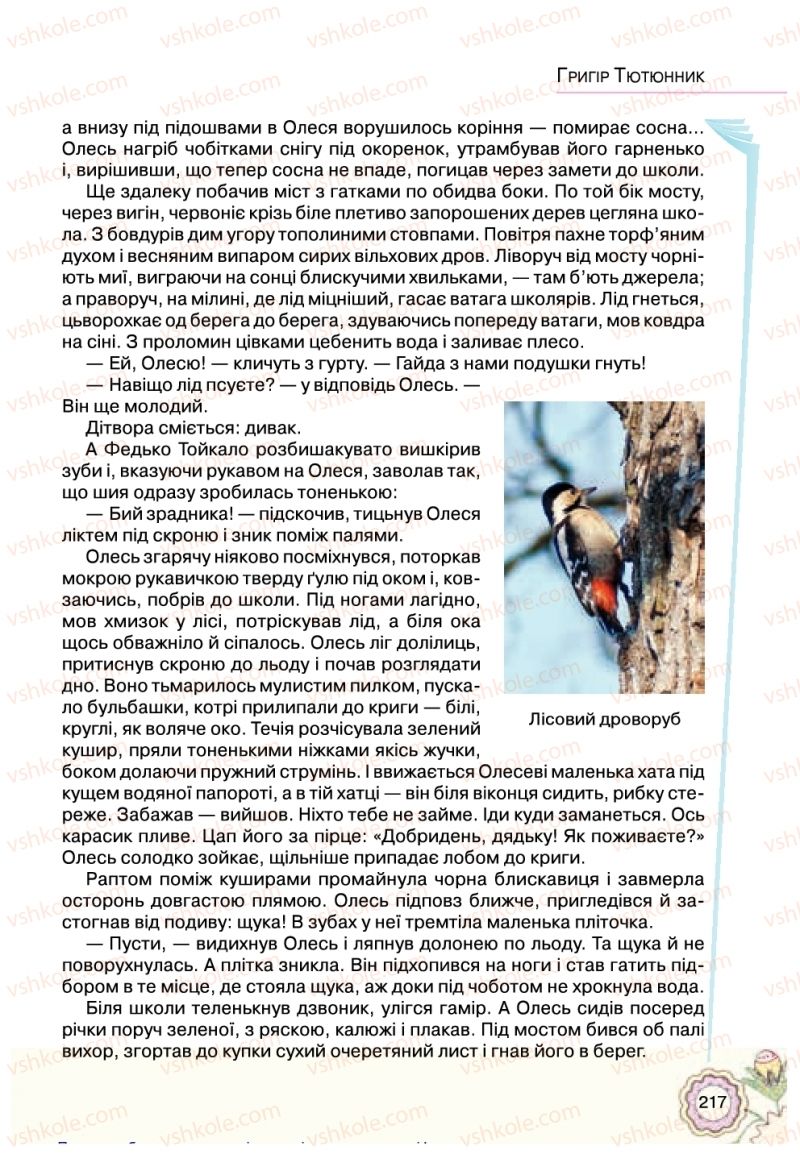 Страница 217 | Підручник Українська література 5 клас Л.Т. Коваленко 2018