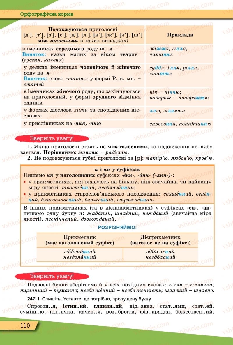 Страница 110 | Підручник Українська мова 10 клас О.В. Заболотний, В.В. Заболотний 2018 Рівень стандарту