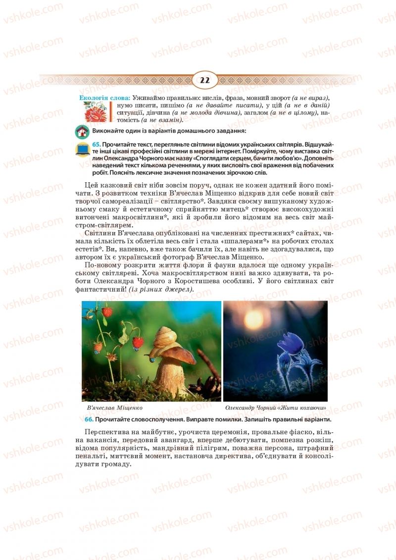 Страница 22 | Підручник Українська мова 10 клас Н.Б. Голуб, В.І. Новосьолова 2018