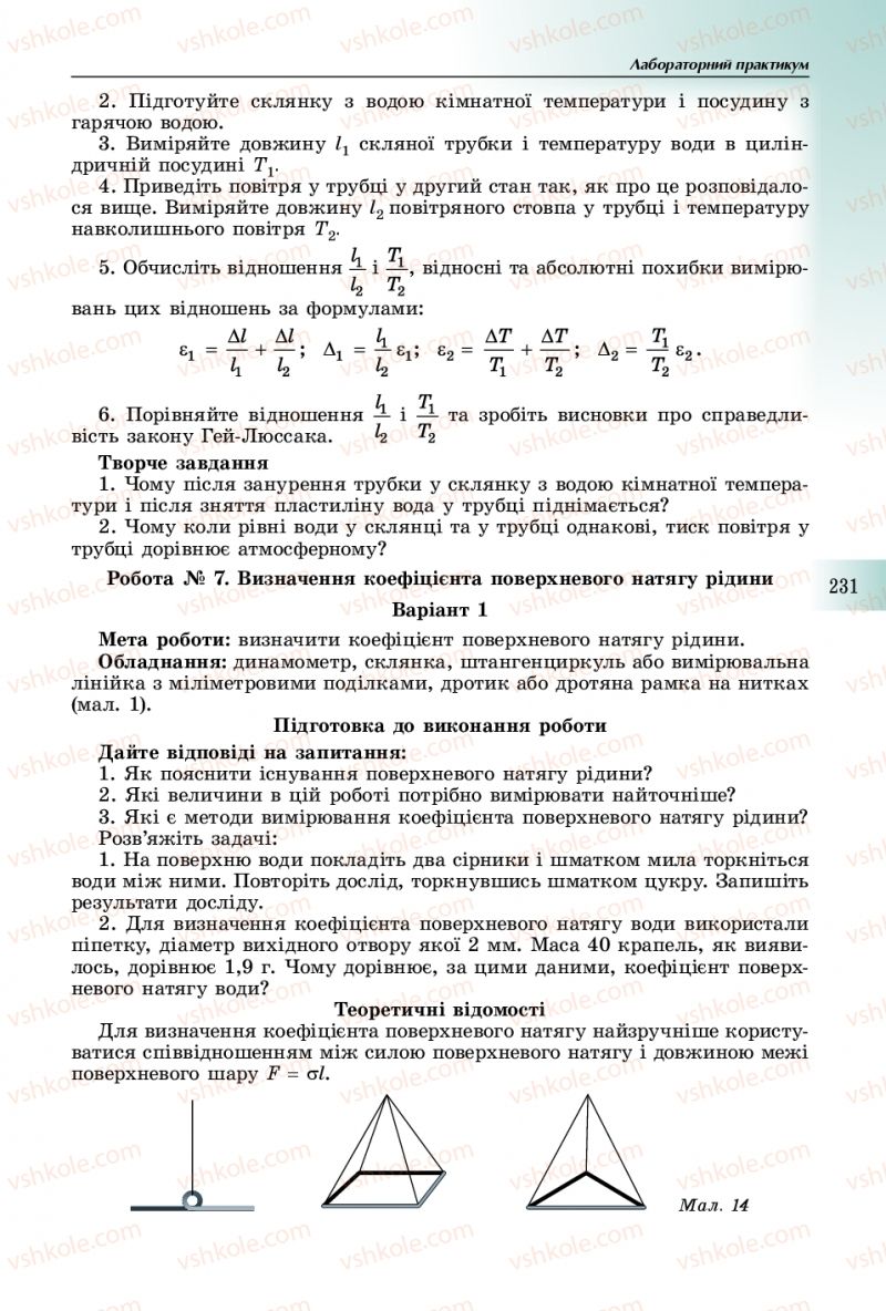 Страница 231 | Підручник Фізика 10 клас В.Д. Сиротюк 2018