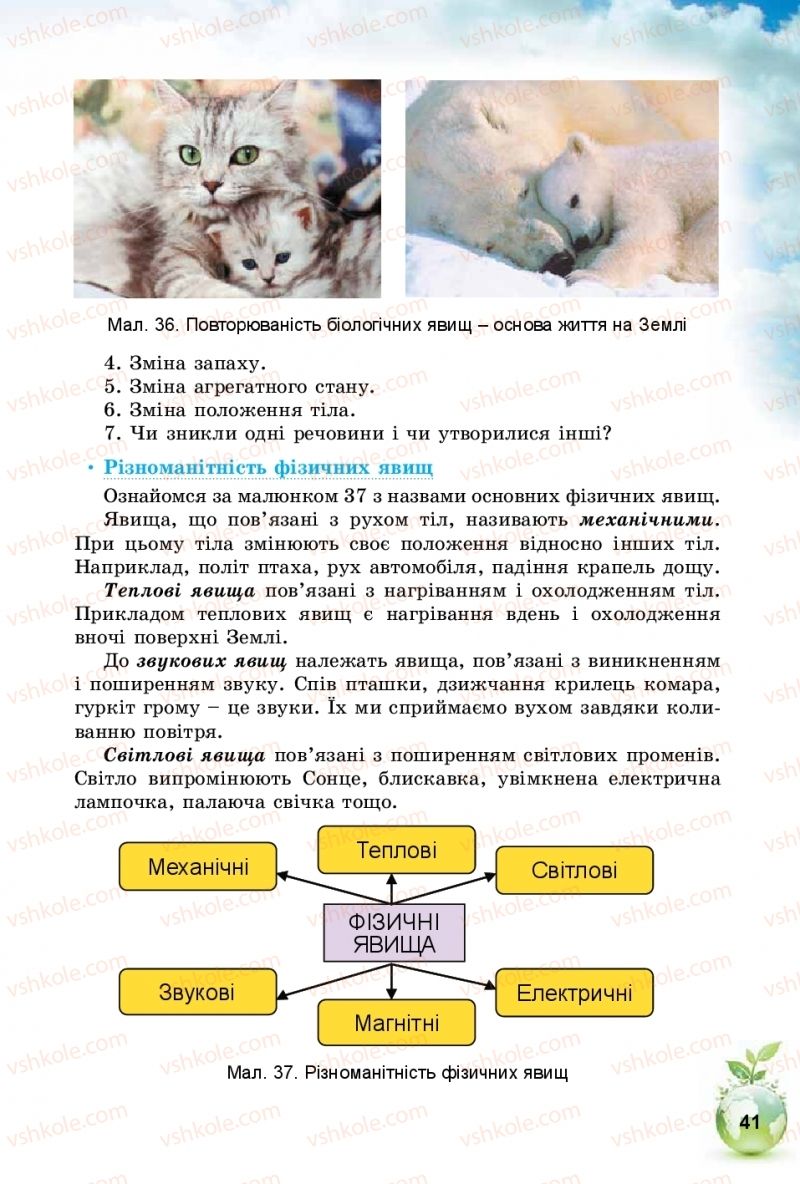 Страница 41 | Підручник Природознавство 5 клас Т.В. Коршевнюк, І.В. Баштовий 2018