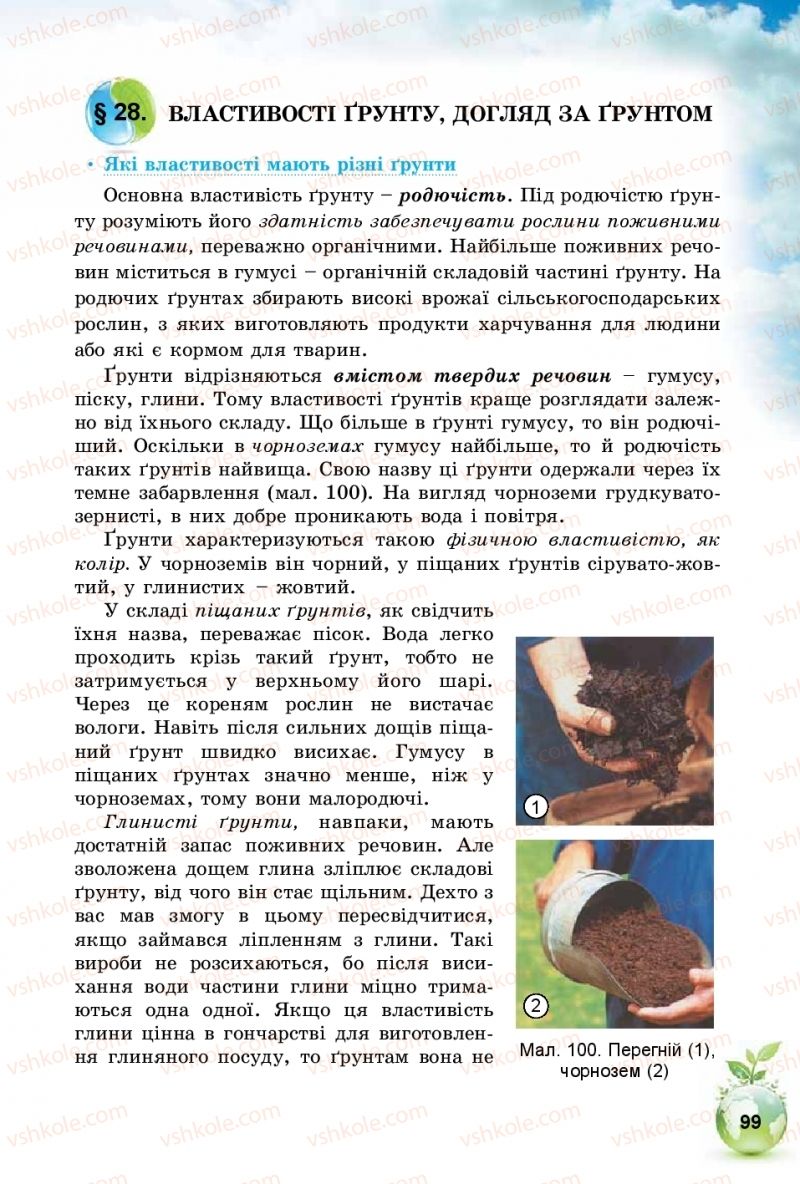 Страница 99 | Підручник Природознавство 5 клас Т.В. Коршевнюк, І.В. Баштовий 2018