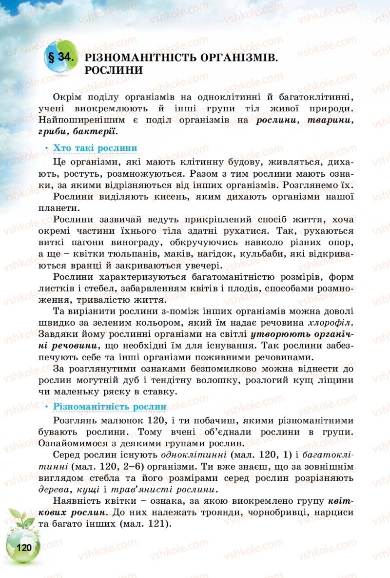 Страница 120 | Підручник Природознавство 5 клас Т.В. Коршевнюк, І.В. Баштовий 2018