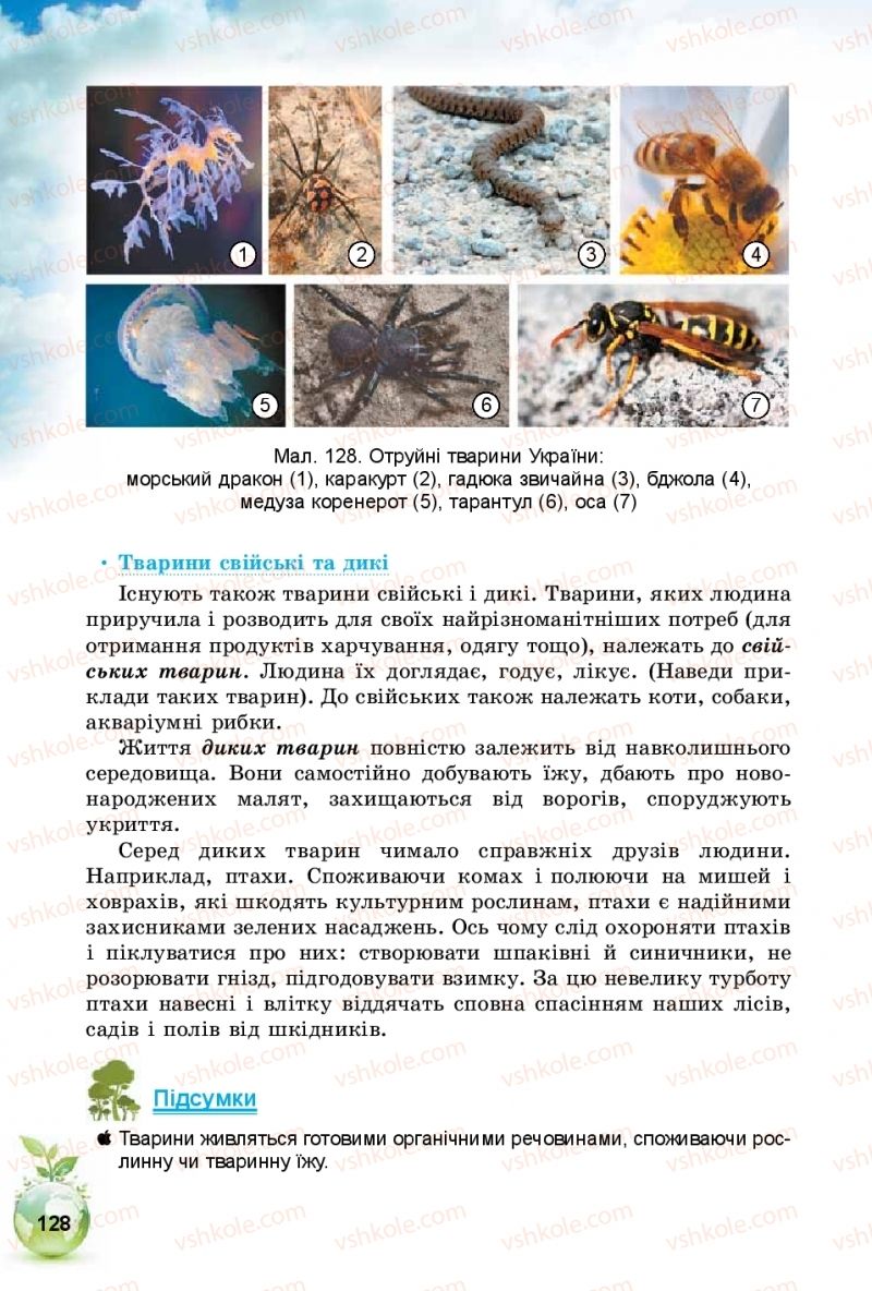 Страница 128 | Підручник Природознавство 5 клас Т.В. Коршевнюк, І.В. Баштовий 2018