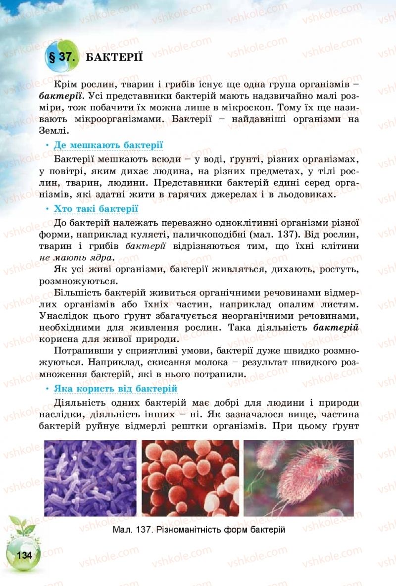 Страница 134 | Підручник Природознавство 5 клас Т.В. Коршевнюк, І.В. Баштовий 2018