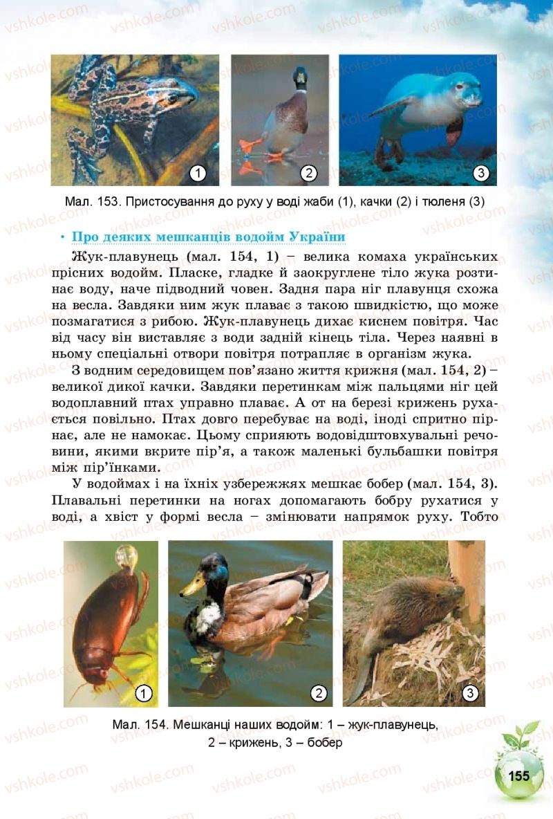 Страница 155 | Підручник Природознавство 5 клас Т.В. Коршевнюк, І.В. Баштовий 2018