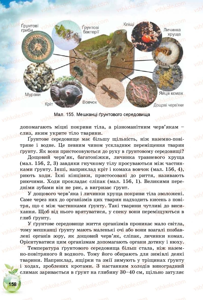 Страница 158 | Підручник Природознавство 5 клас Т.В. Коршевнюк, І.В. Баштовий 2018