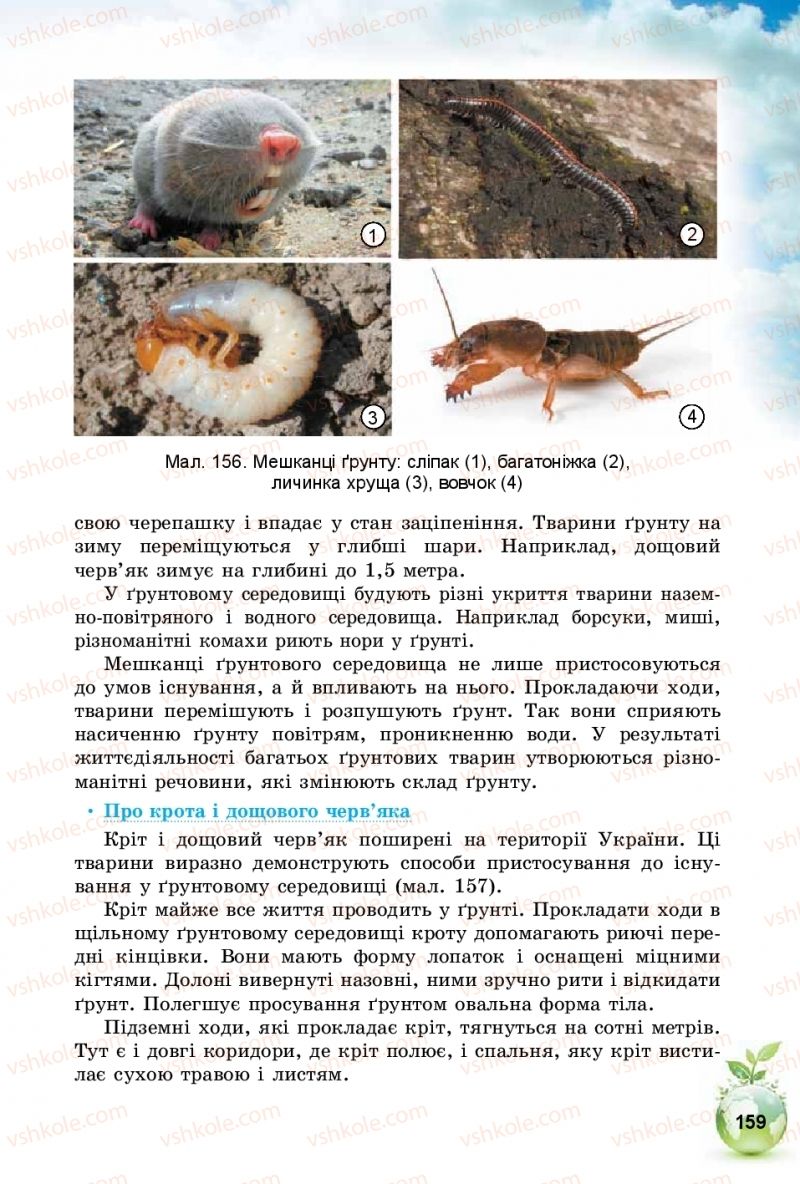 Страница 159 | Підручник Природознавство 5 клас Т.В. Коршевнюк, І.В. Баштовий 2018
