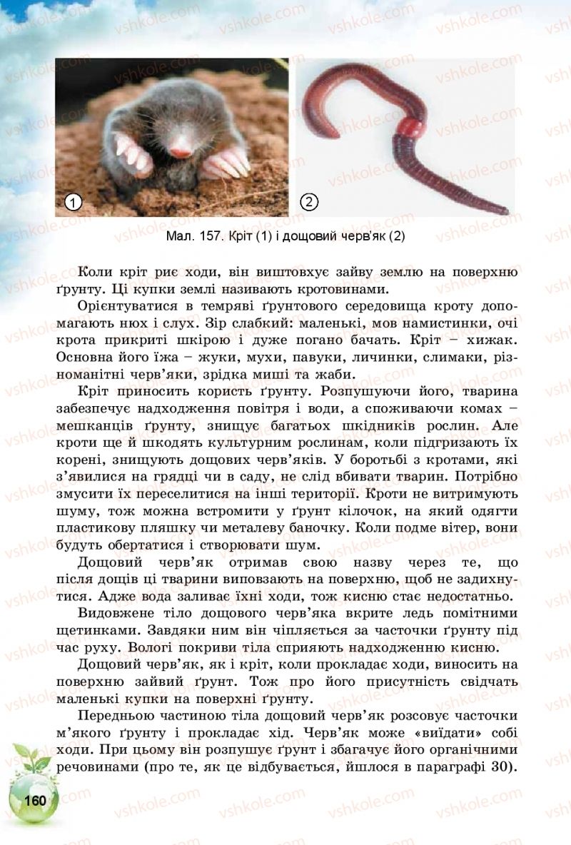 Страница 160 | Підручник Природознавство 5 клас Т.В. Коршевнюк, І.В. Баштовий 2018