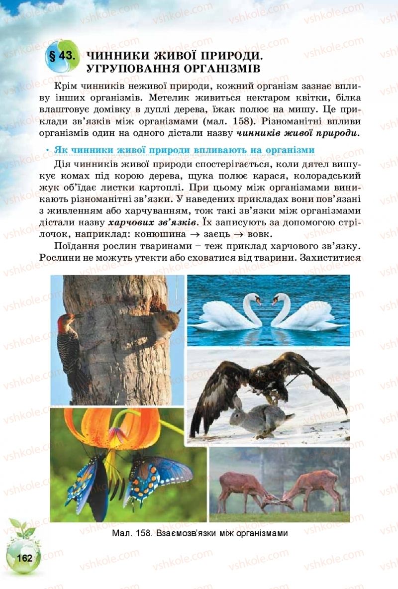 Страница 162 | Підручник Природознавство 5 клас Т.В. Коршевнюк, І.В. Баштовий 2018