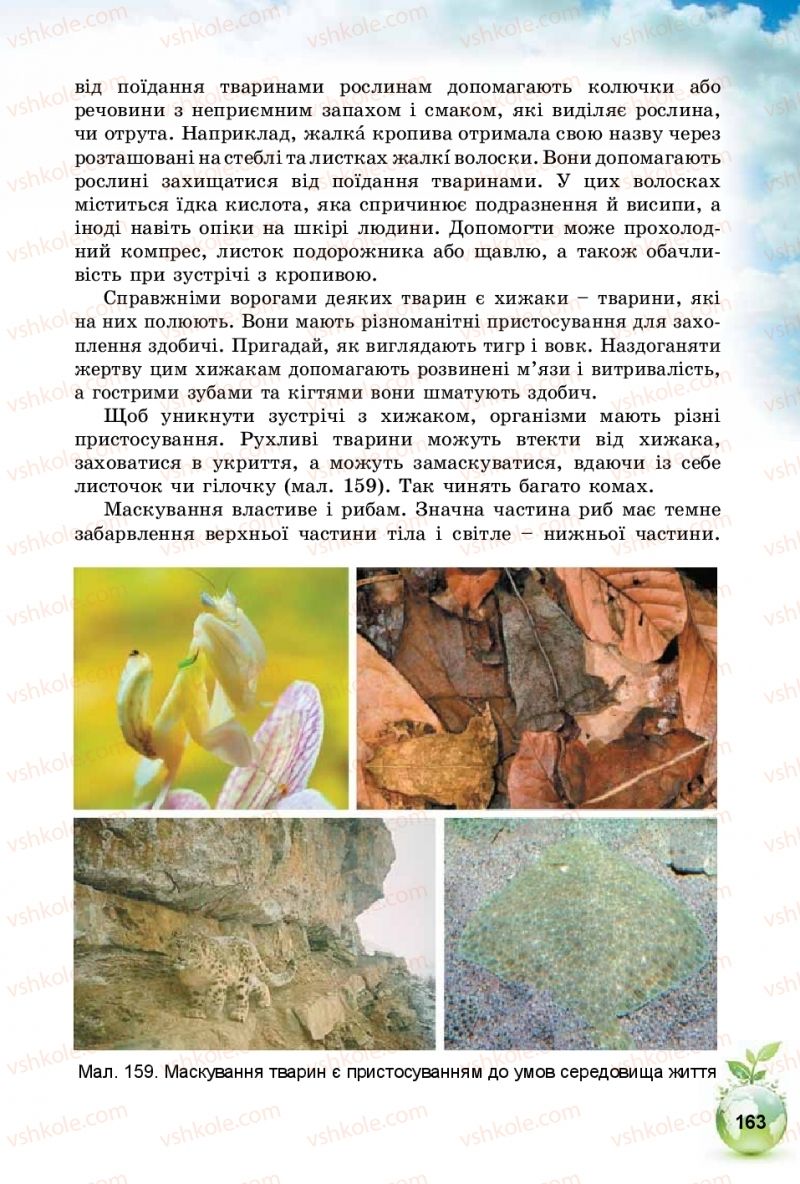 Страница 163 | Підручник Природознавство 5 клас Т.В. Коршевнюк, І.В. Баштовий 2018