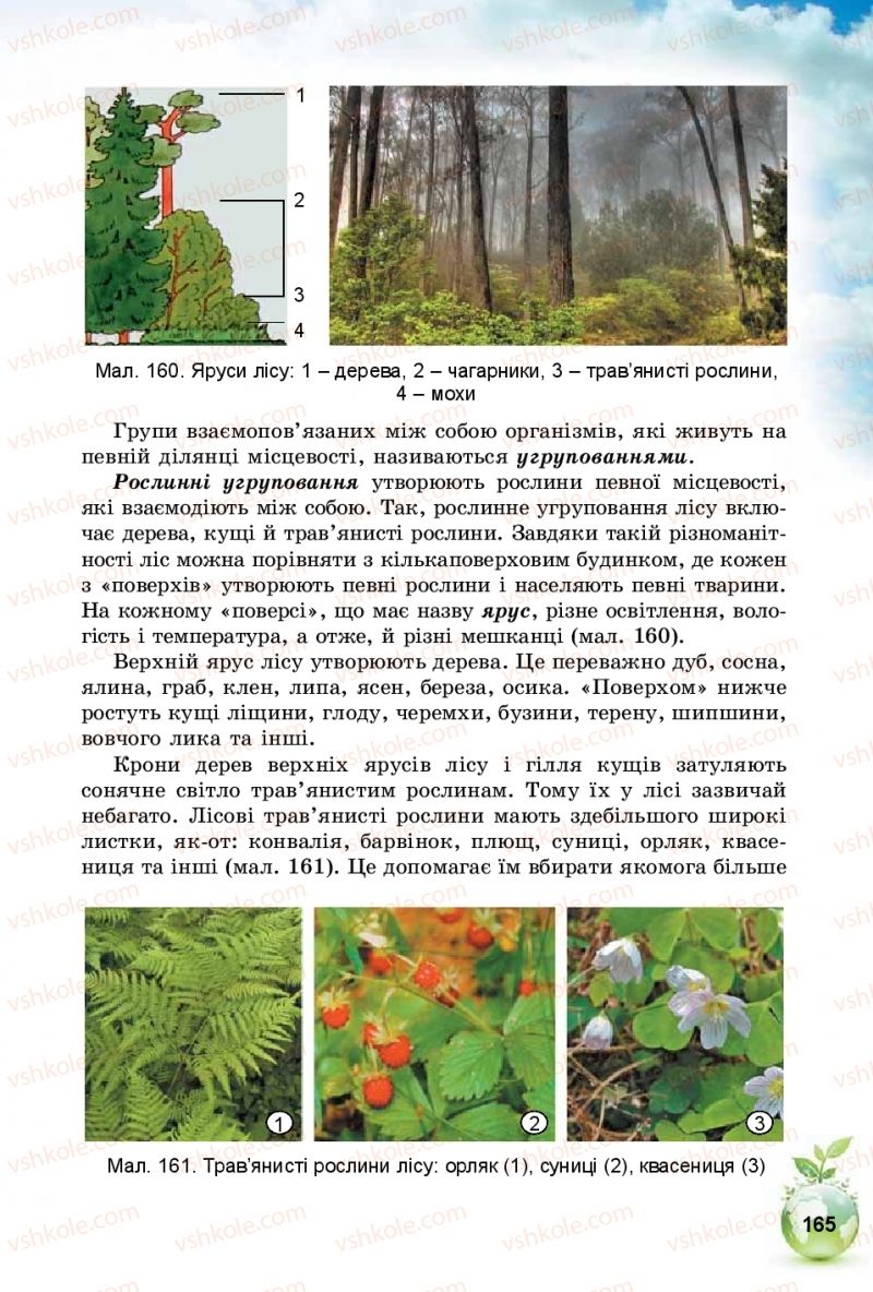 Страница 165 | Підручник Природознавство 5 клас Т.В. Коршевнюк, І.В. Баштовий 2018