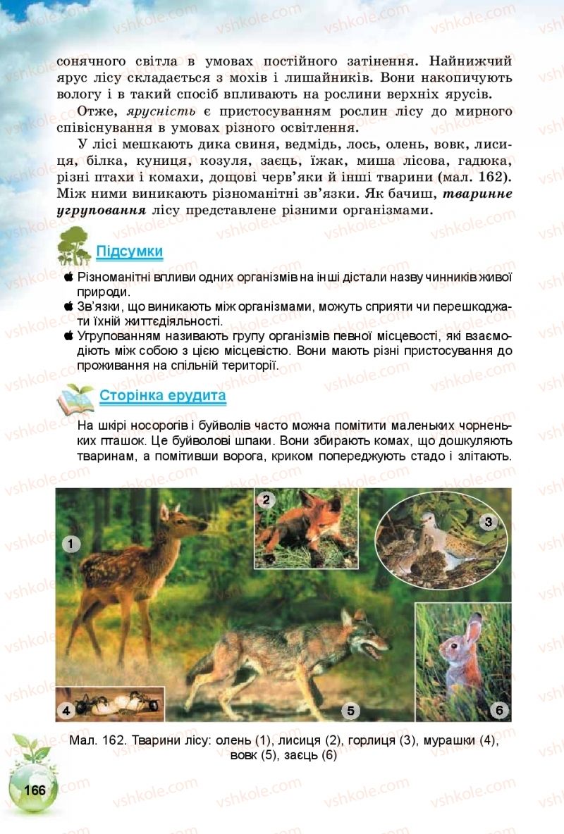 Страница 166 | Підручник Природознавство 5 клас Т.В. Коршевнюк, І.В. Баштовий 2018