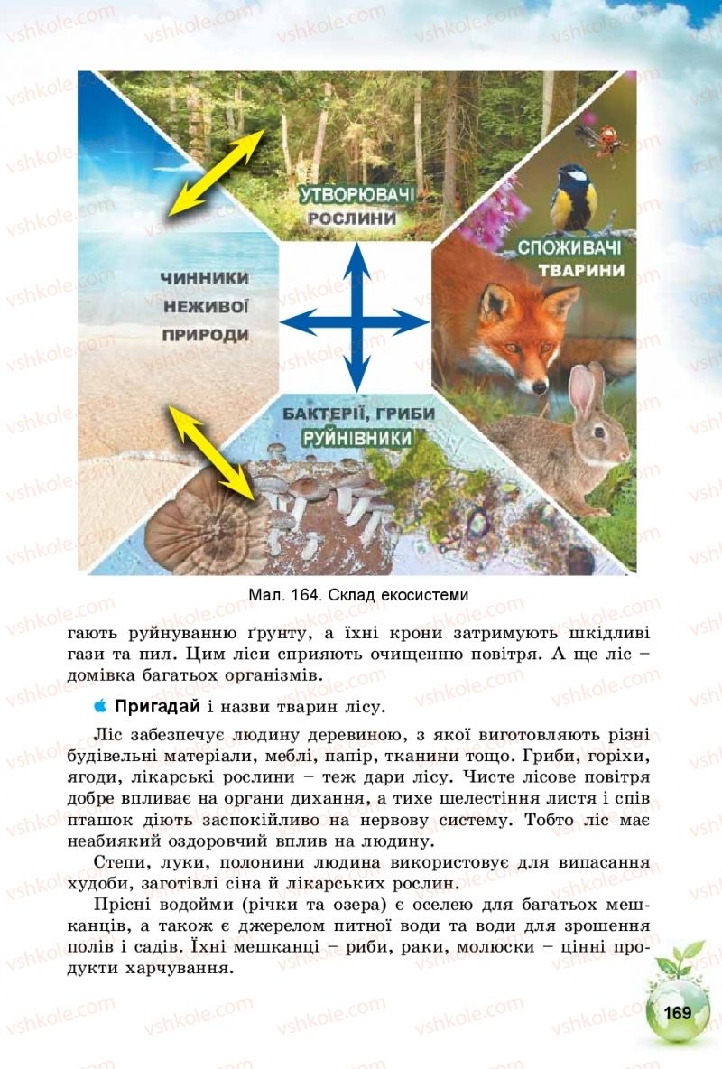 Страница 169 | Підручник Природознавство 5 клас Т.В. Коршевнюк, І.В. Баштовий 2018