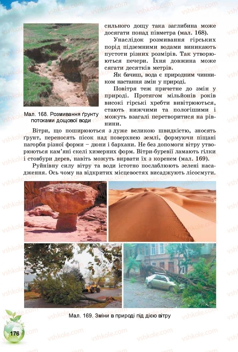 Страница 176 | Підручник Природознавство 5 клас Т.В. Коршевнюк, І.В. Баштовий 2018