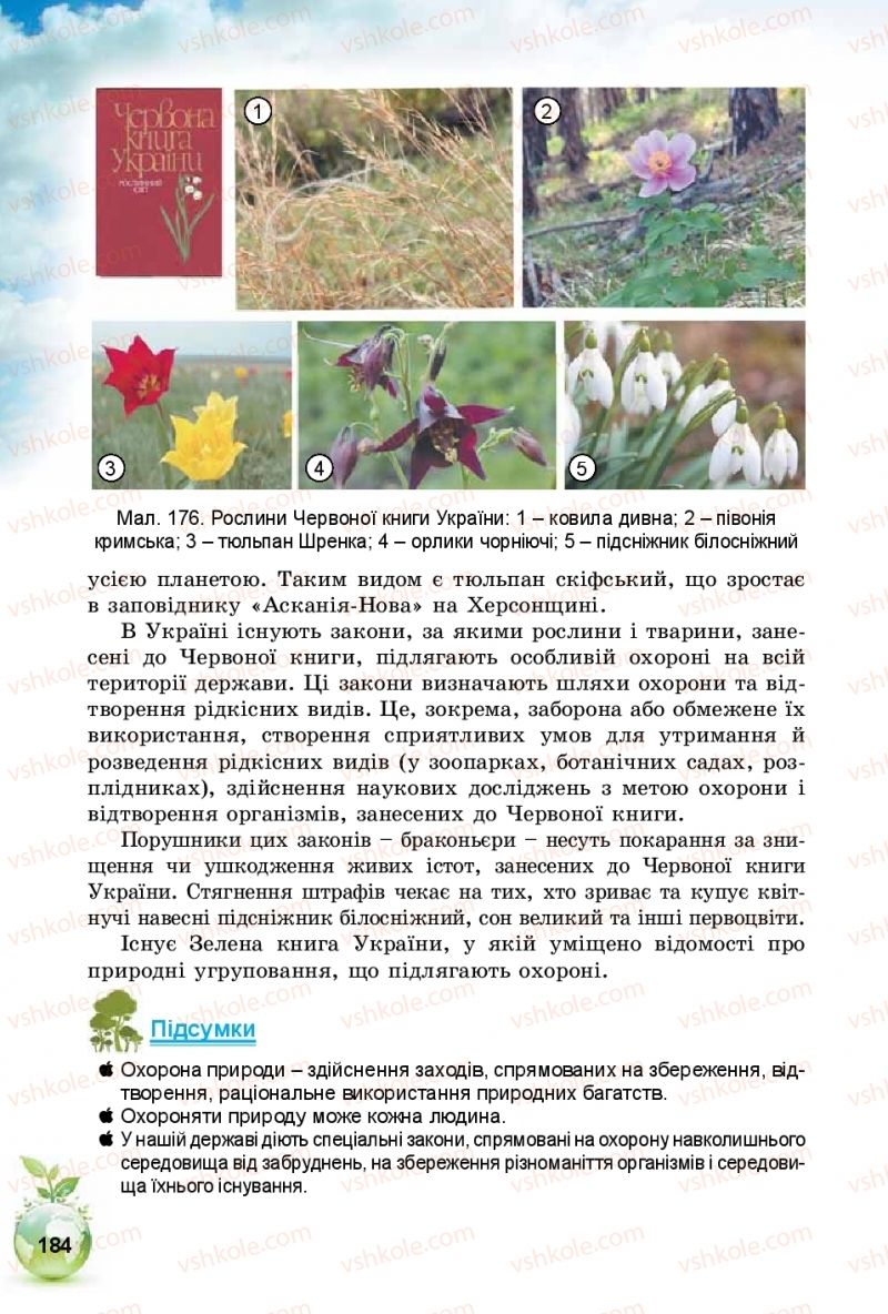 Страница 184 | Підручник Природознавство 5 клас Т.В. Коршевнюк, І.В. Баштовий 2018
