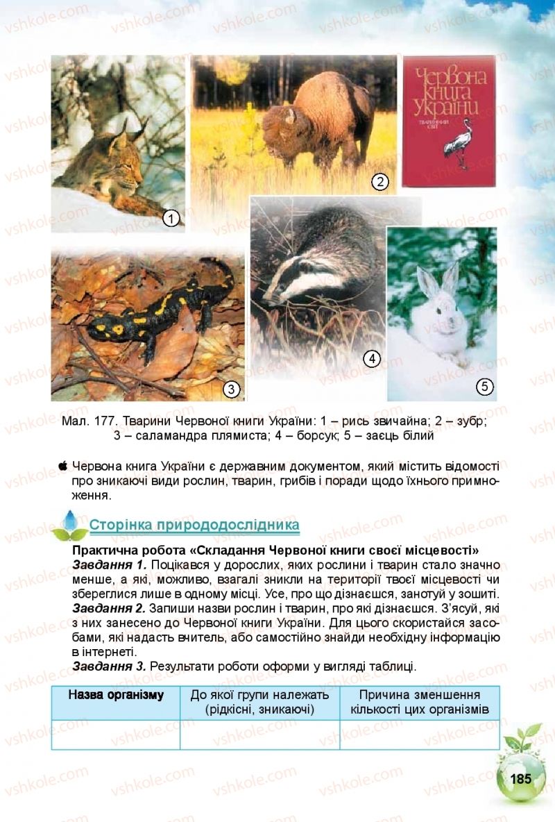 Страница 185 | Підручник Природознавство 5 клас Т.В. Коршевнюк, І.В. Баштовий 2018