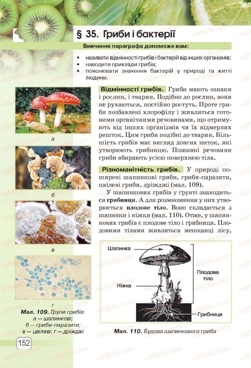 Страница 152 | Підручник Природознавство 5 клас О.Г. Ярошенко, В.М. Бойко 2018