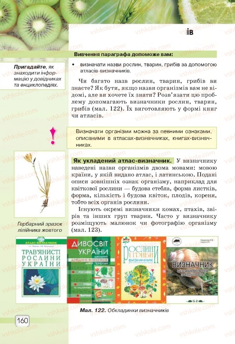 Страница 160 | Підручник Природознавство 5 клас О.Г. Ярошенко, В.М. Бойко 2018