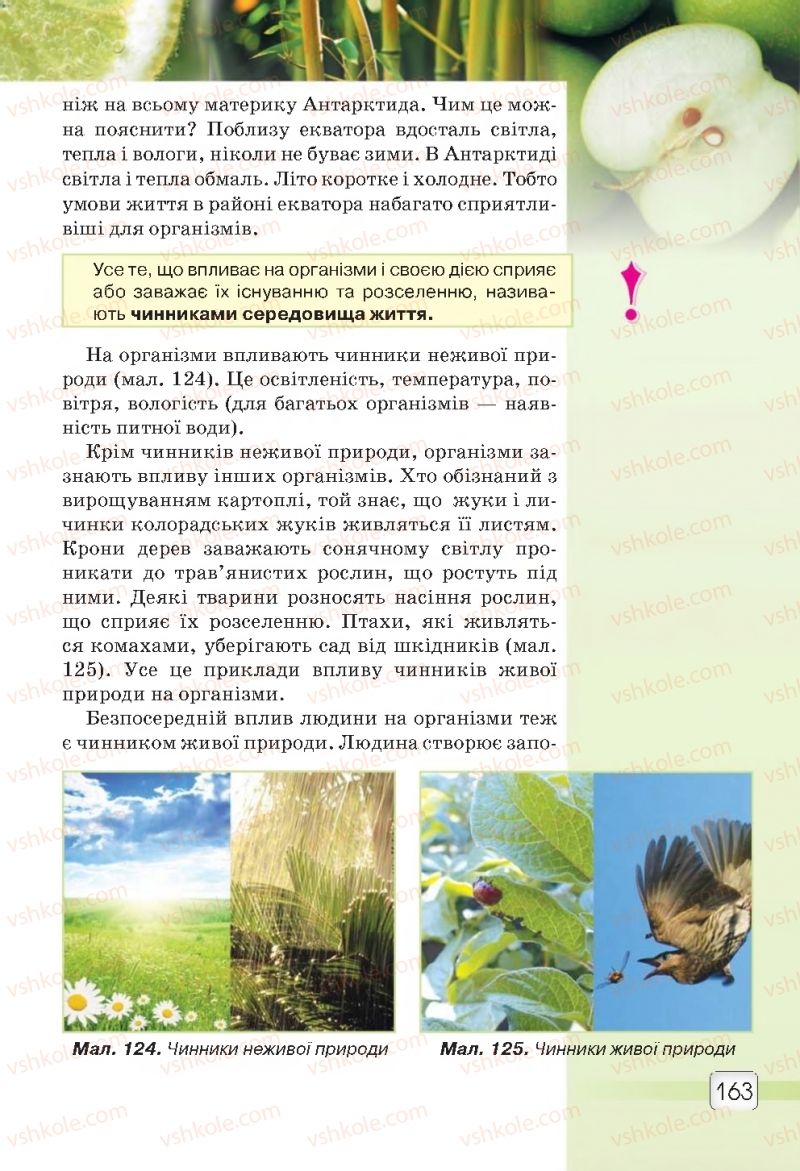 Страница 163 | Підручник Природознавство 5 клас О.Г. Ярошенко, В.М. Бойко 2018