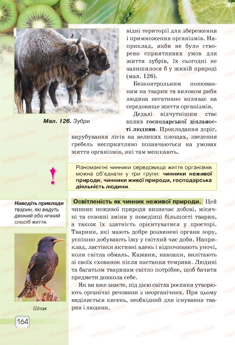Страница 164 | Підручник Природознавство 5 клас О.Г. Ярошенко, В.М. Бойко 2018
