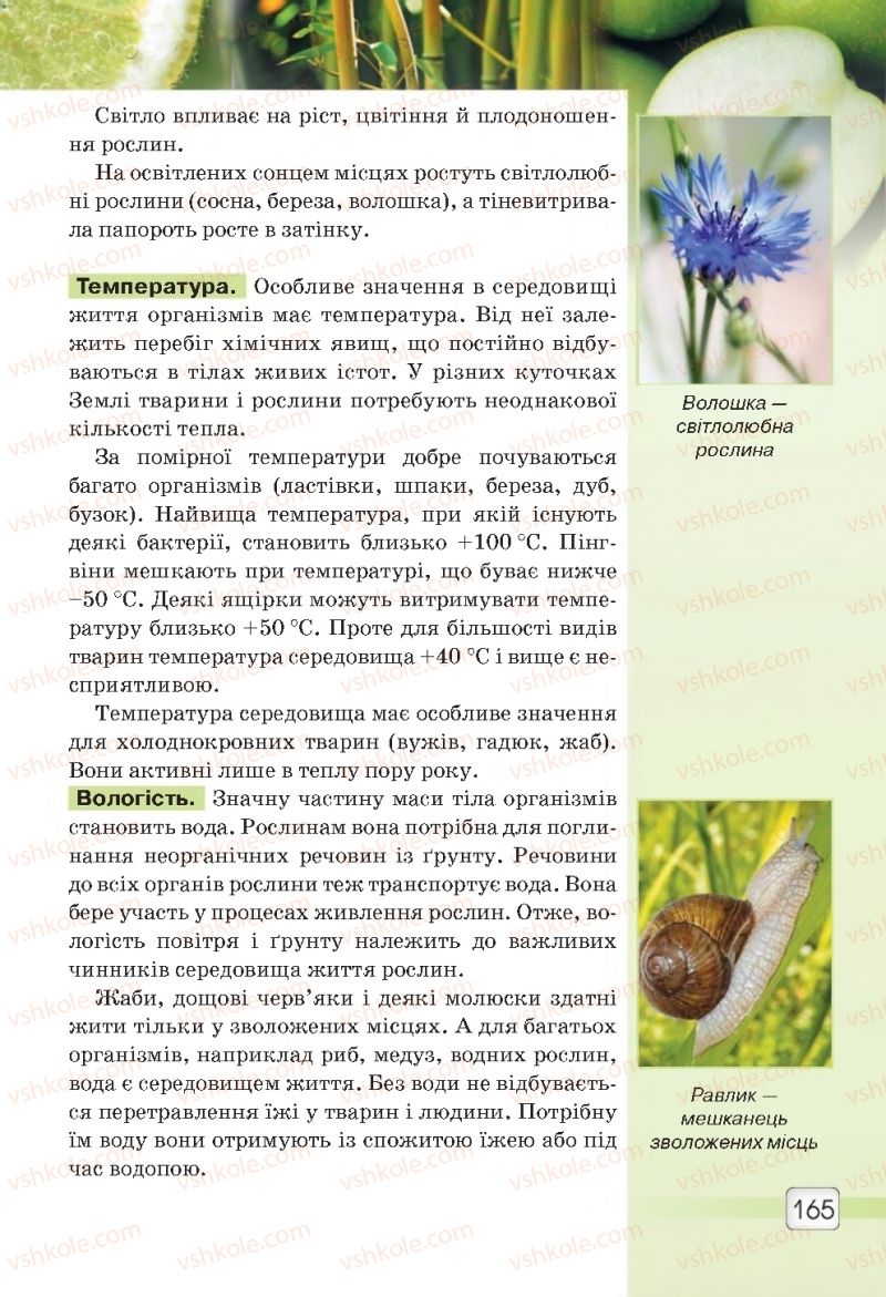 Страница 165 | Підручник Природознавство 5 клас О.Г. Ярошенко, В.М. Бойко 2018