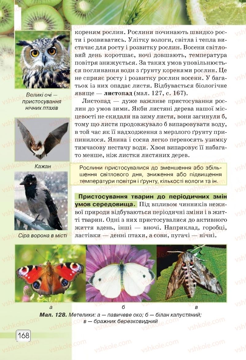 Страница 168 | Підручник Природознавство 5 клас О.Г. Ярошенко, В.М. Бойко 2018