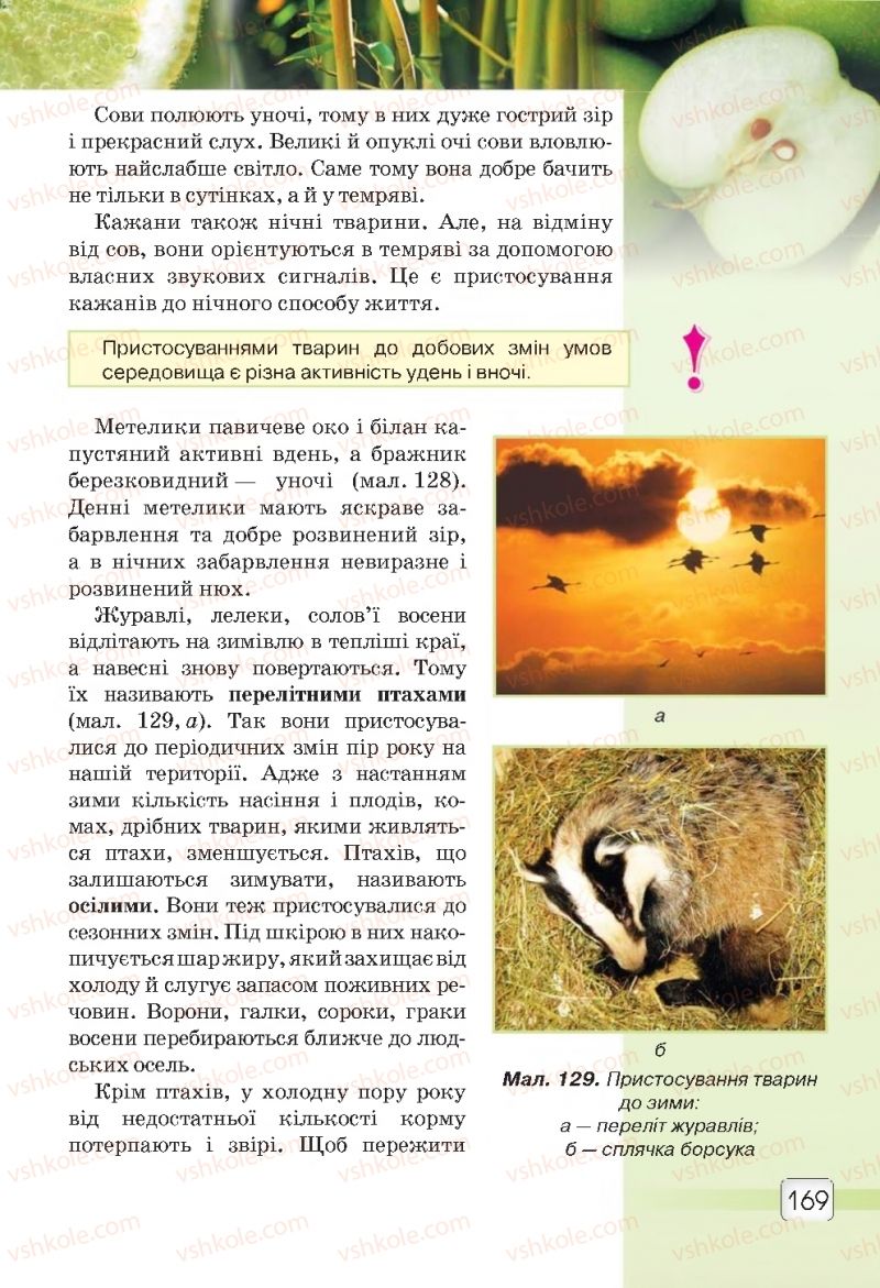 Страница 169 | Підручник Природознавство 5 клас О.Г. Ярошенко, В.М. Бойко 2018