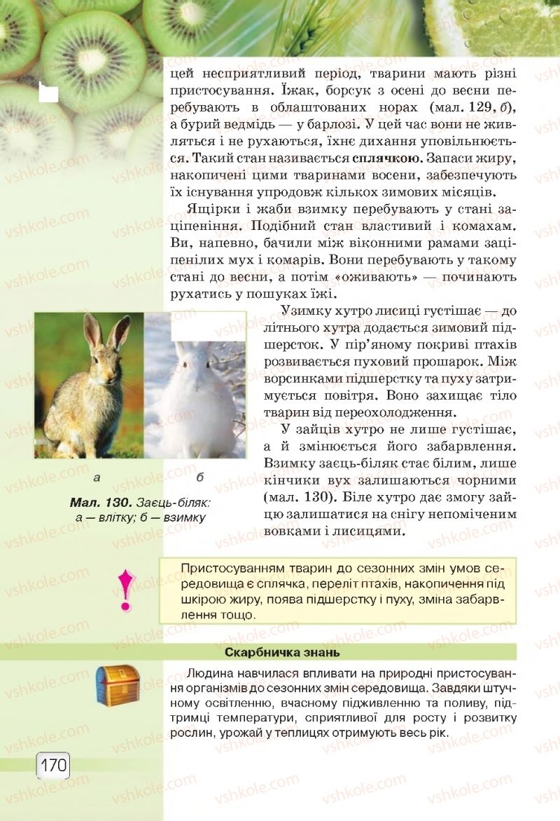 Страница 170 | Підручник Природознавство 5 клас О.Г. Ярошенко, В.М. Бойко 2018