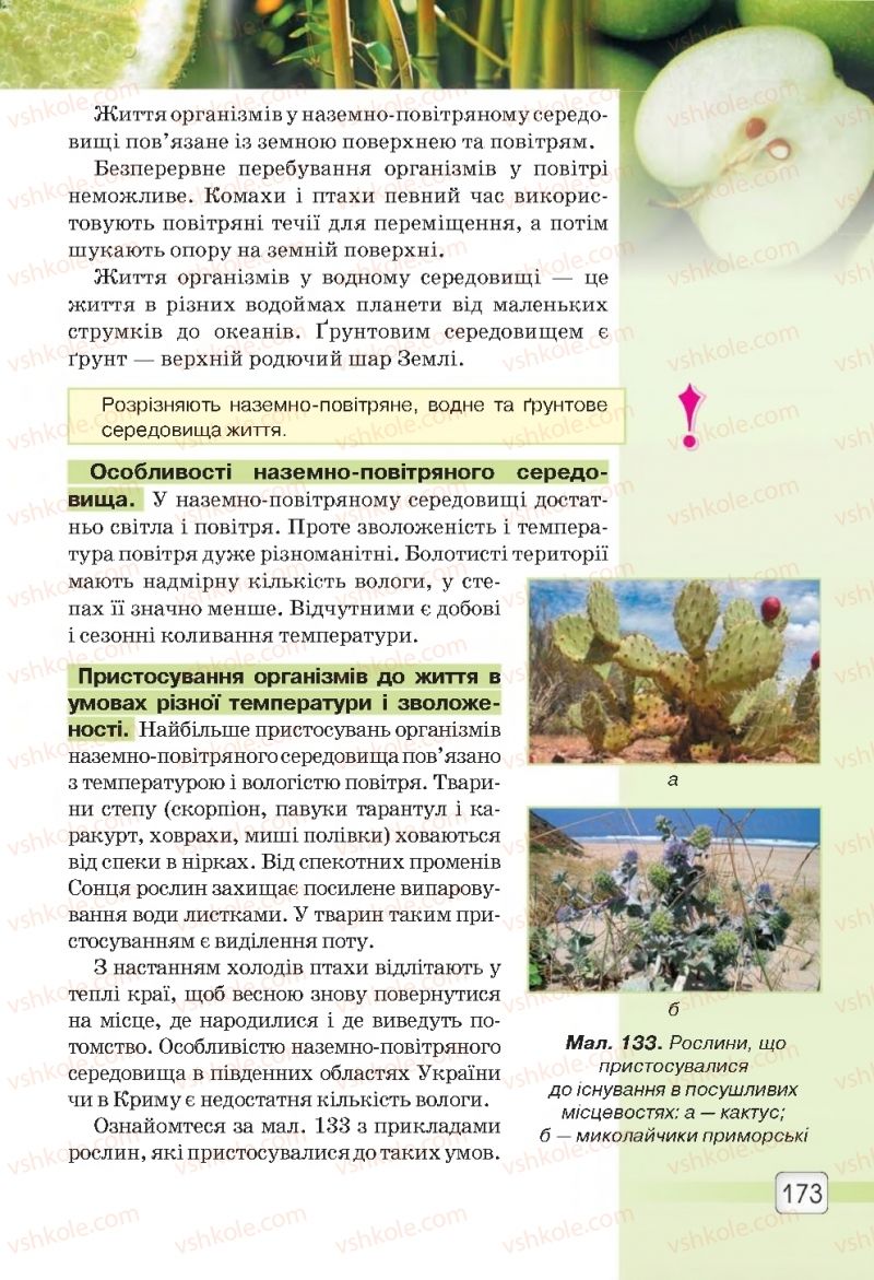 Страница 173 | Підручник Природознавство 5 клас О.Г. Ярошенко, В.М. Бойко 2018