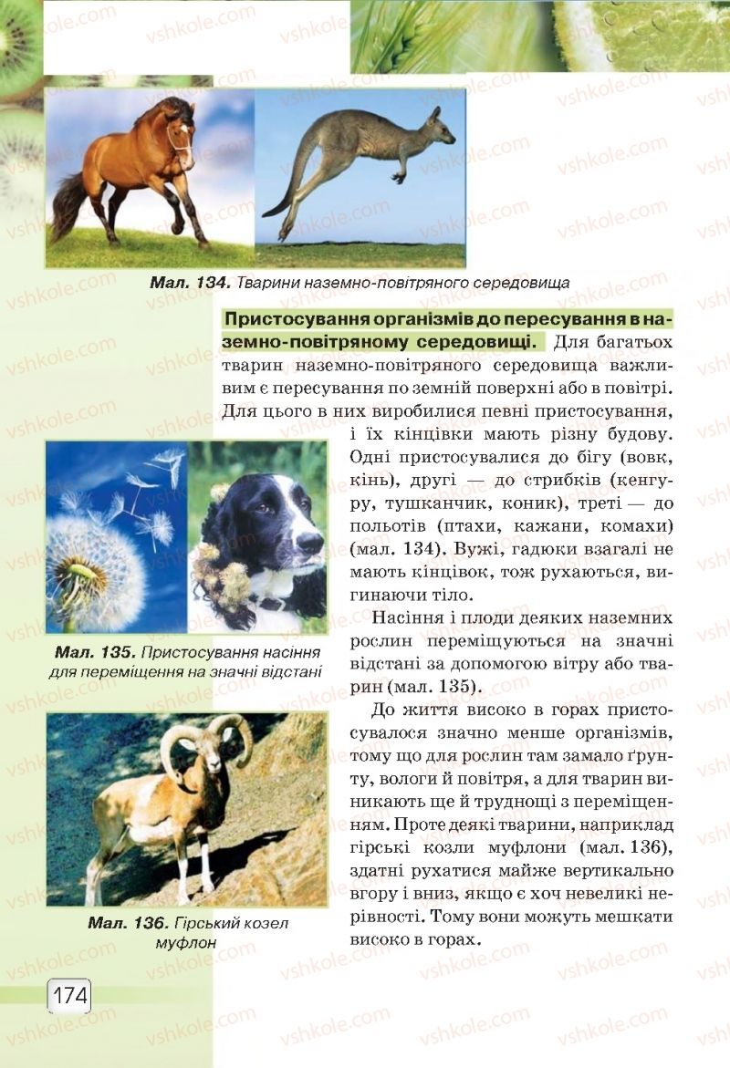 Страница 174 | Підручник Природознавство 5 клас О.Г. Ярошенко, В.М. Бойко 2018