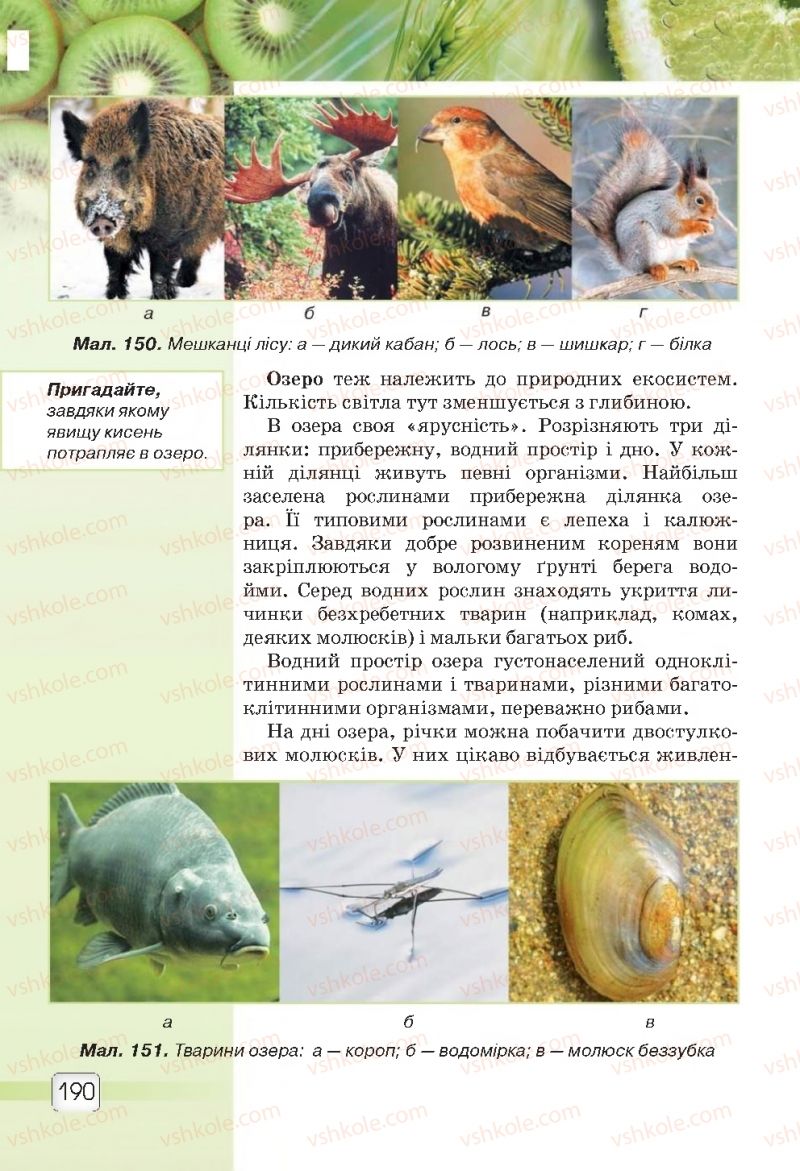 Страница 190 | Підручник Природознавство 5 клас О.Г. Ярошенко, В.М. Бойко 2018