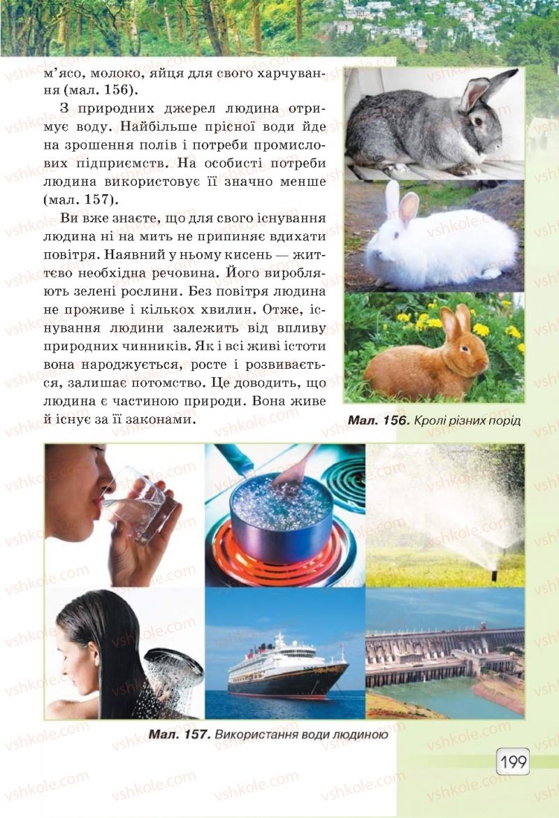 Страница 199 | Підручник Природознавство 5 клас О.Г. Ярошенко, В.М. Бойко 2018