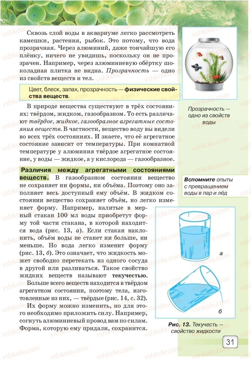 Страница 31 | Підручник Природознавство 5 клас О.Г. Ярошенко, В.М. Бойко 2018 На російській мові