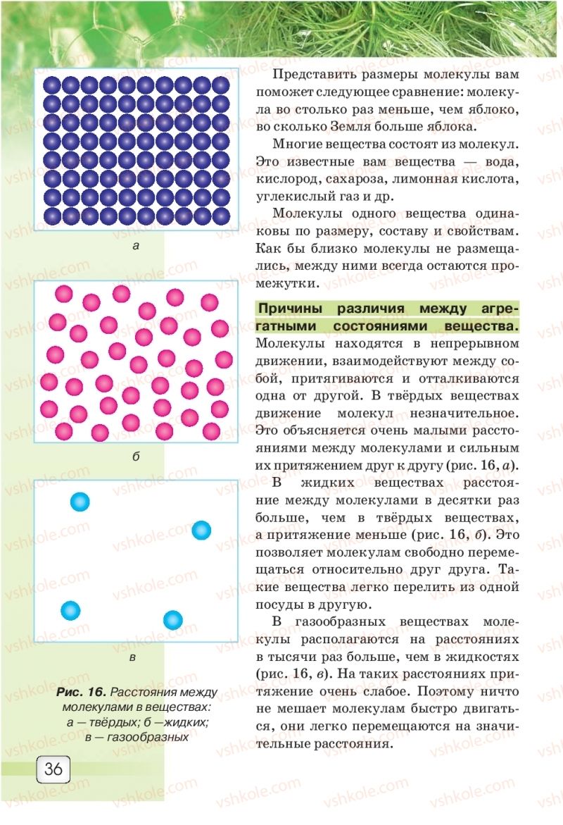 Страница 36 | Підручник Природознавство 5 клас О.Г. Ярошенко, В.М. Бойко 2018 На російській мові